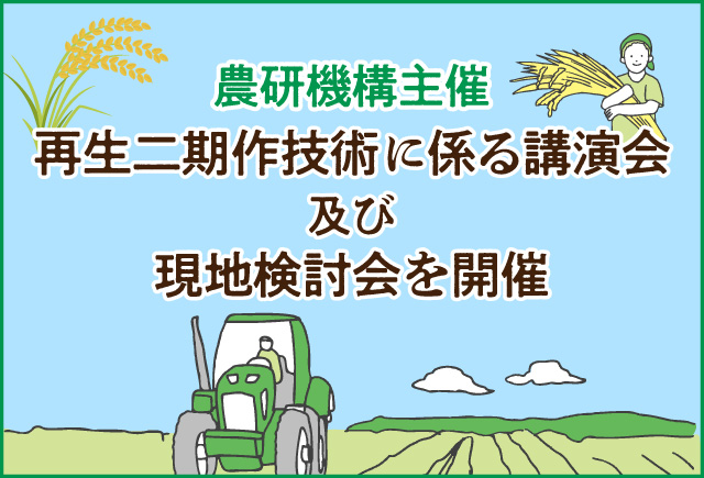 再生二期作技術に係る講演会及び現地検討会を開催