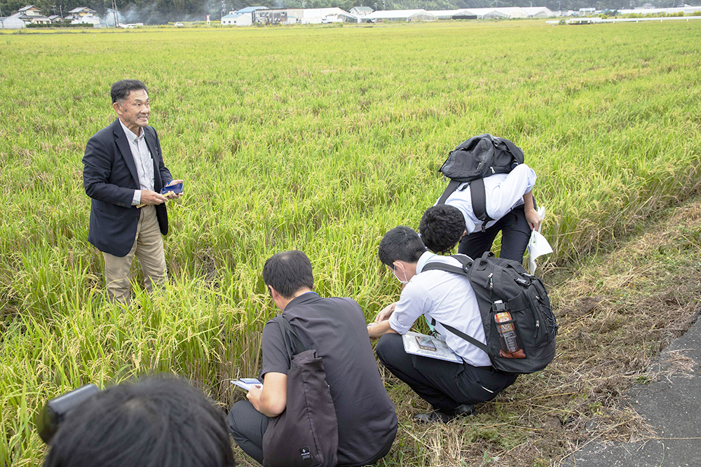 ほ場見学の様子